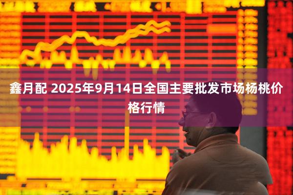 鑫月配 2025年9月14日全国主要批发市场杨桃价格行情