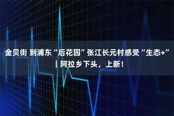 金贝街 到浦东“后花园”张江长元村感受“生态+” ｜阿拉乡下头，上新！