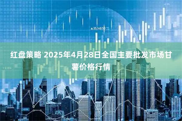 红盘策略 2025年4月28日全国主要批发市场甘薯价格行情