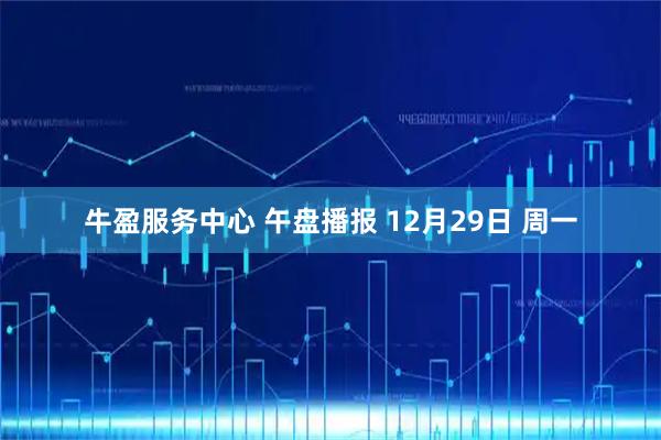 牛盈服务中心 午盘播报 12月29日 周一
