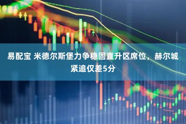 易配宝 米德尔斯堡力争稳固直升区席位，赫尔城紧追仅差5分