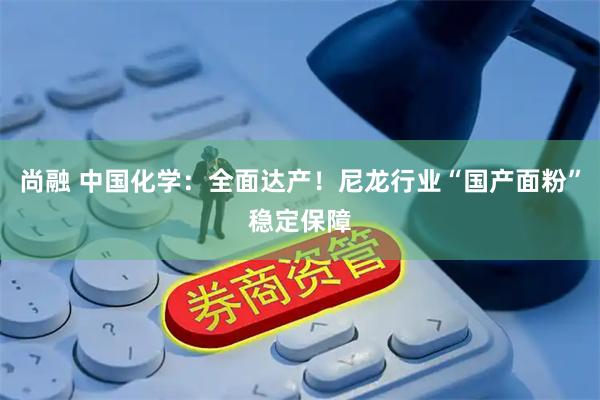 尚融 中国化学：全面达产！尼龙行业“国产面粉”稳定保障