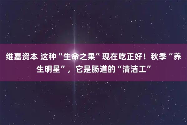 维嘉资本 这种“生命之果”现在吃正好！秋季“养生明星”，它是肠道的“清洁工”